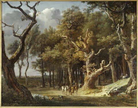 Vue prise dans la forêt de Fontainebleau