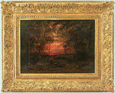 Coucher de soleil dans la forêt, image 3/3
