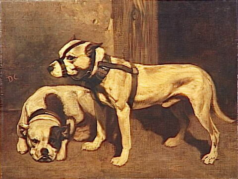 Bouledogue et terrier écossais., image 2/2