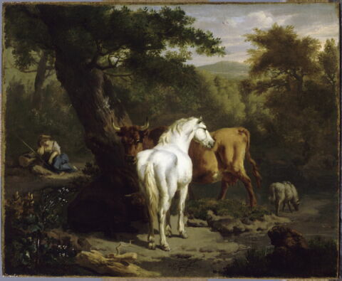 Paysage au cheval blanc, image 7/7