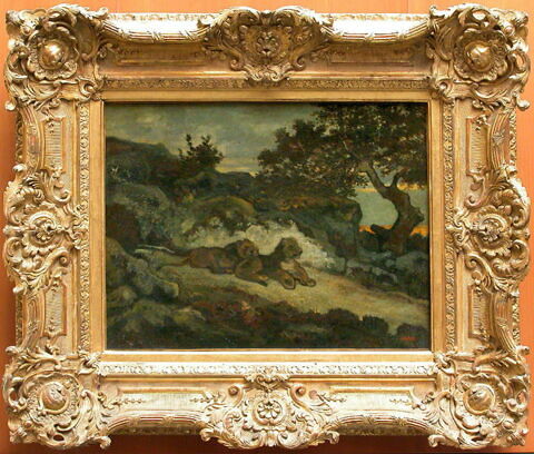 Lions près de leur antre, image 3/4