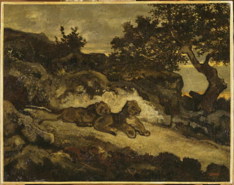 Lions près de leur antre, image 4/4