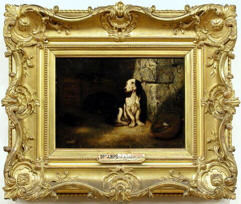 Chien basset noir et blanc au chenil., image 2/3