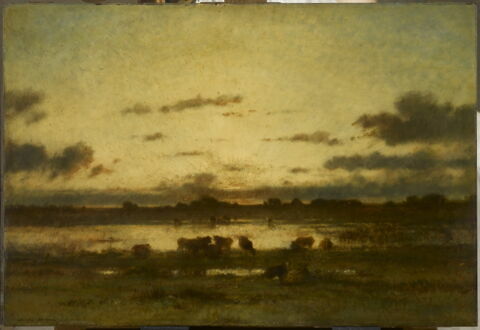 Soleil couchant sur un marais
