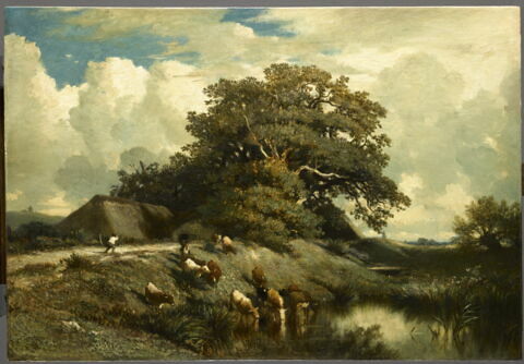 L'abreuvoir et le grand chêne