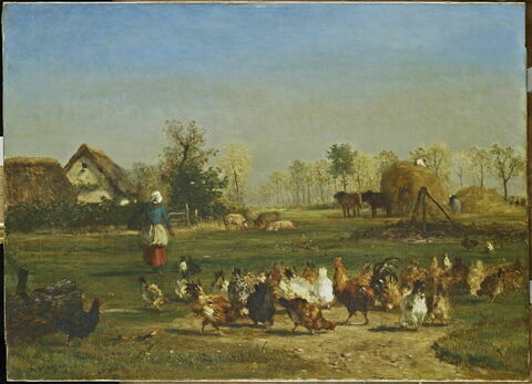La provende des poules