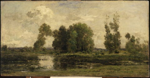 L'étang.