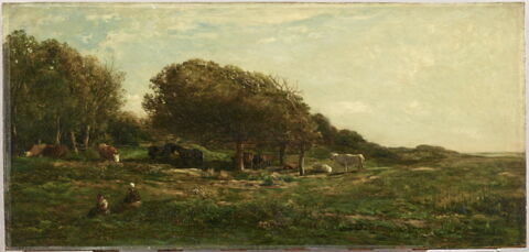 Les Graves de Villerville (Calvados), dit aussi Pâturage avec vue sur la mer.