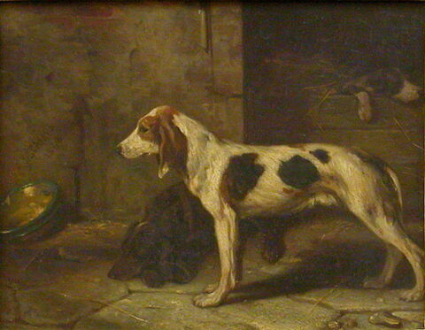 Chiens brifauts., image 3/3