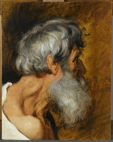 Vieillard de profil; tête d'étude, image 2/3