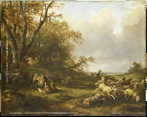 Loup dévorant une brebis.