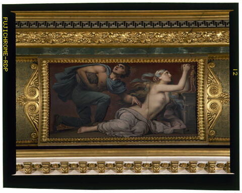 Plafond : Le Vésuve personnifié reçoit de Jupiter le feu qui doit consumer les villes d'Herculanum,de Pompéi et de Stabies., image 3/3