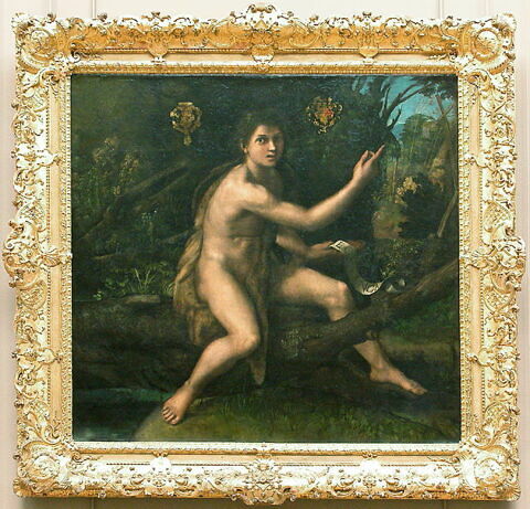Saint Jean Baptiste dans le désert désignant la Croix de la Passion, image 2/3