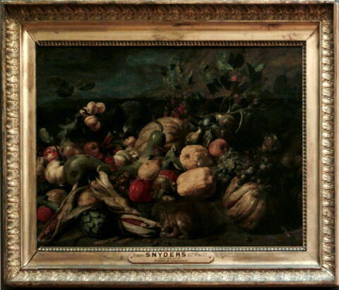 Fruits et légumes avec un singe, un perroquet et un écureuil, image 2/3