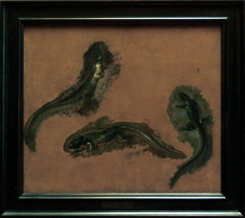 Triple étude d'un lézard vert, image 4/5