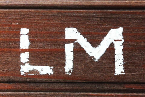 Portrait de femme âgée de 44 ans en 1558, image 5/11