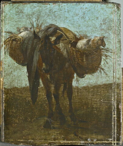Cheval chargé pour le marché
