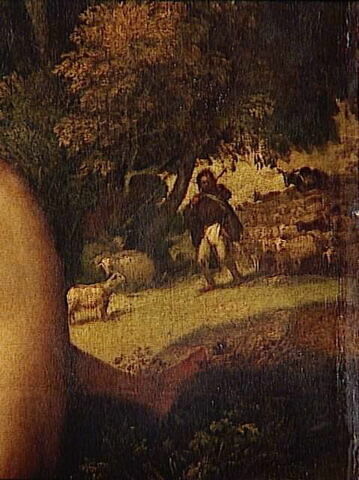 Le Concert champêtre, image 9/10