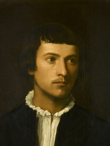Portrait d'homme, dit L'Homme au gant, image 3/11