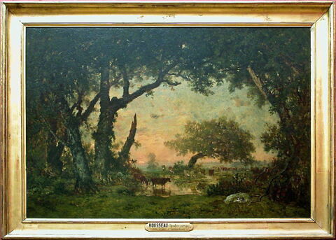 Sortie de forêt à Fontainebleau, soleil couchant, image 2/3