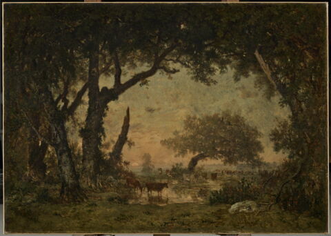 Sortie de forêt à Fontainebleau, soleil couchant