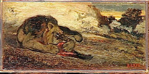 Lion dévorant sa proie, image 5/5