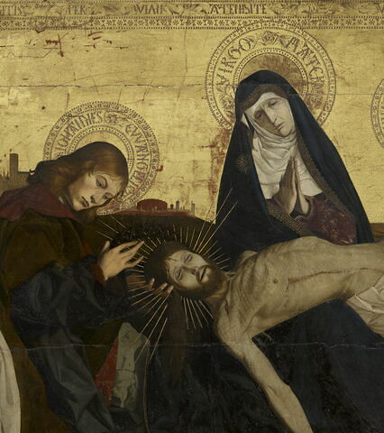 Pietà de Villeneuve-lès-Avignon, image 2/17