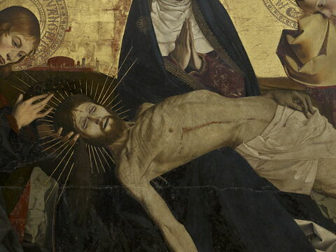 Pietà de Villeneuve-lès-Avignon, image 4/17