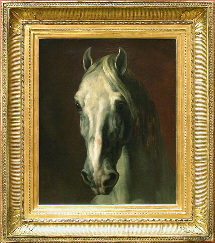 Tête de cheval blanc, image 3/3