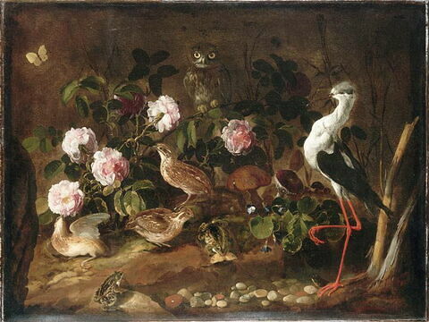 Nature morte avec des cailles, un hibou et une échasse blanche, image 3/3