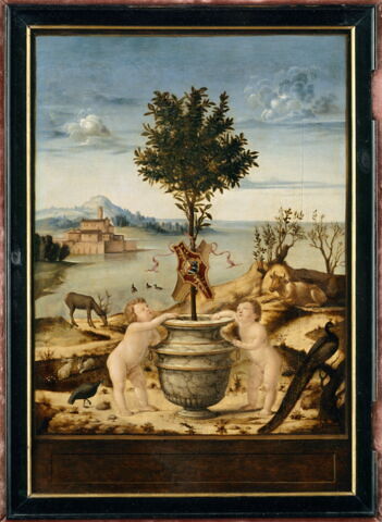 Portrait d'homme (Giulio Mellini ?). Au revers, Paysage avec un oranger sur lequel sont accrochés deux écussons dont l'un porte des armoiries qui ont été identifiées avec celles de Giulio Mellini, image 6/6