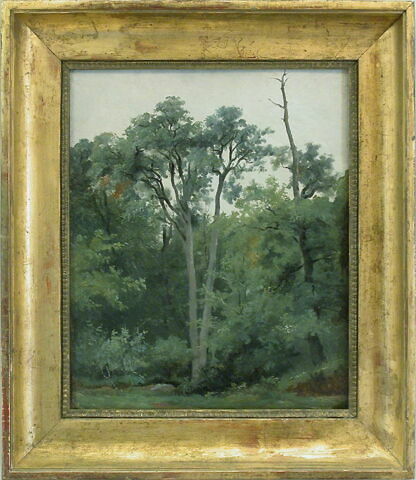 Au Bas-Bréau, à Chailly, image 2/2