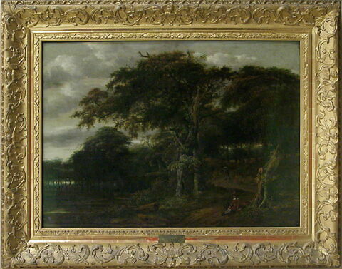 Entrée de forêt, image 3/3