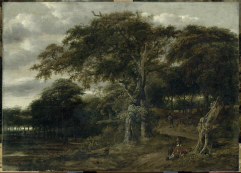 Entrée de forêt, image 2/3