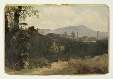 À la villa Farnèse: l'arbre rose