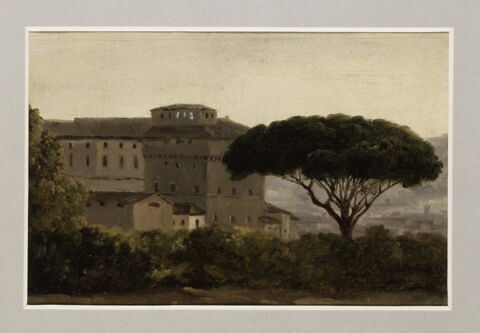 Vue du couvent de l'Ara Coeli: le pin parasol, image 3/3