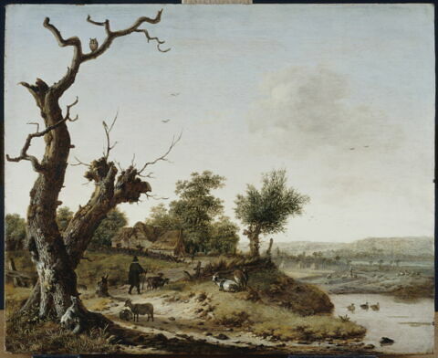 Paysage rustique. Arbres morts, chemin et mare, image 5/5