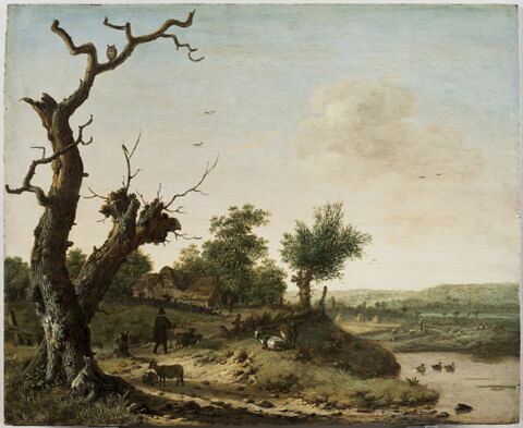 Paysage rustique. Arbres morts, chemin et mare