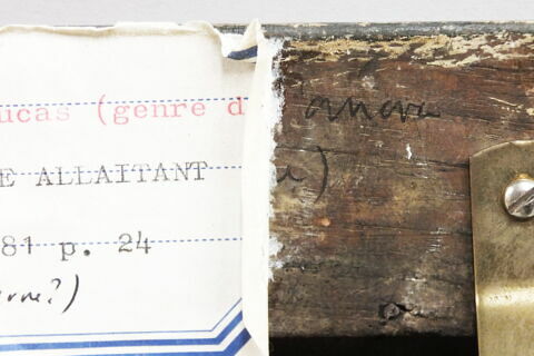Vierge à l'Enfant, image 10/14