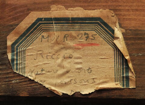 Nature morte aux poissons, image 11/21