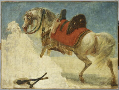 Étude de cheval arabe harnaché, image 2/4