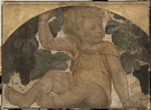 Enfant assis sous une treille, image 3/3