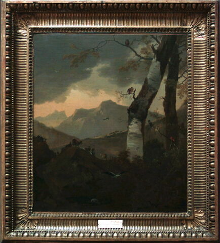 Paysage montagneux aux arbres et aux oiseaux, reptiles, batraciens et autres animaux, image 3/3