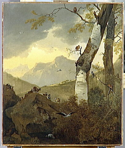 Paysage montagneux aux arbres et aux oiseaux, reptiles, batraciens et autres animaux, image 2/3