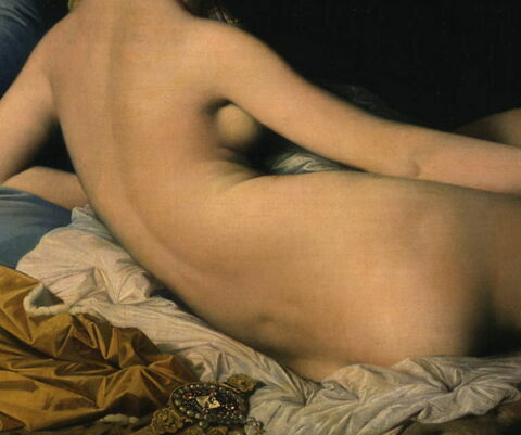 Une odalisque, dite La grande odalisque, image 15/15