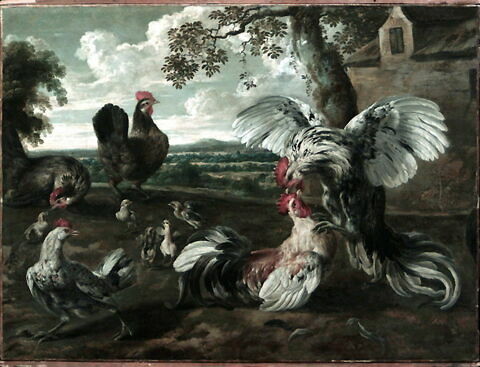 Combat de coqs et de poules, image 2/2