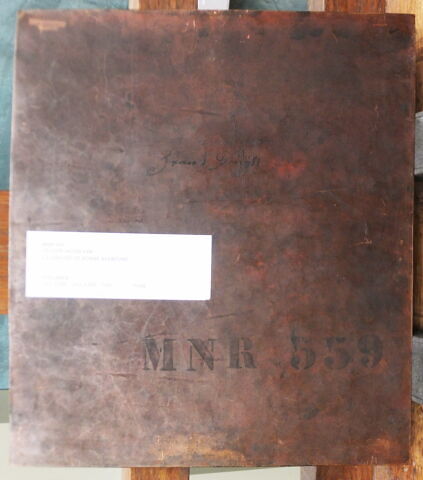 La diseuse de bonne aventure, image 4/8