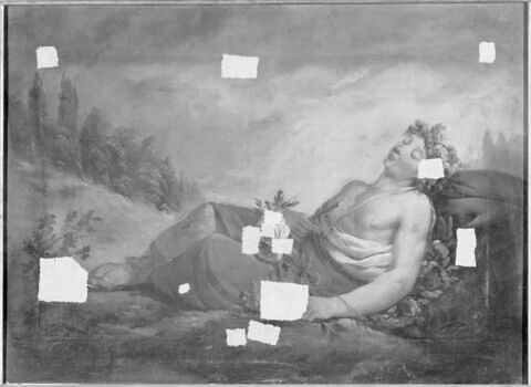 Jeune homme endormi, image 2/2