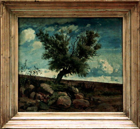 Vue prise à Vallekilde (Danemark).Saule sur un amoncellement de pierres, image 3/4