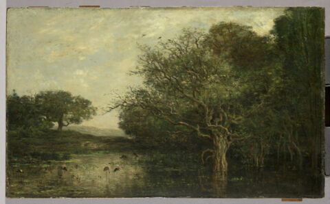 La mare aux hérons.